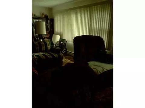 230 E High, Ovid, MI 48866 photo 2