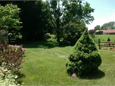 15216 Chetwyn, Lansing, MI 48906 photo 14