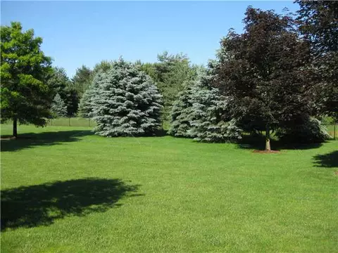 15071 S Jone, Eagle, MI 48822 photo 23