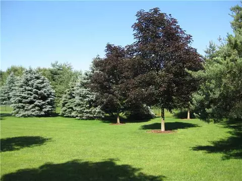 15071 S Jone, Eagle, MI 48822 photo 25