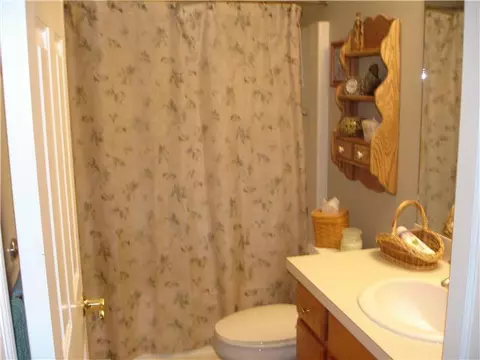 13151 Addington Dr, Dewitt, MI 48820 photo 17