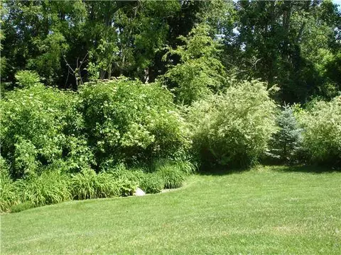 13151 Addington Dr, Dewitt, MI 48820 photo 22