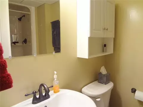 3907 Windy Hts, Okemos, MI 48864 photo 12