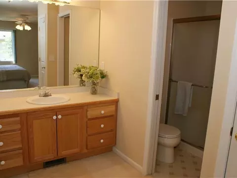 411 White Pine Blvd, Lansing, MI 48917 photo 17