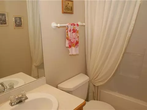 411 White Pine Blvd, Lansing, MI 48917 photo 22