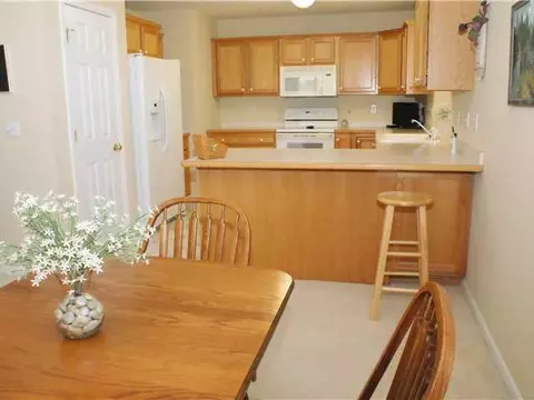 411 White Pine Blvd, Lansing, MI 48917 photo 9