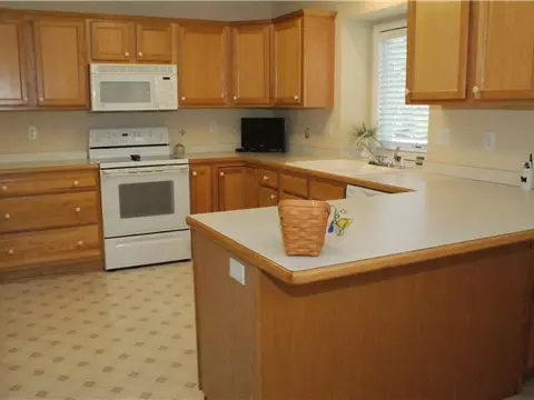 411 White Pine Blvd, Lansing, MI 48917 photo 10