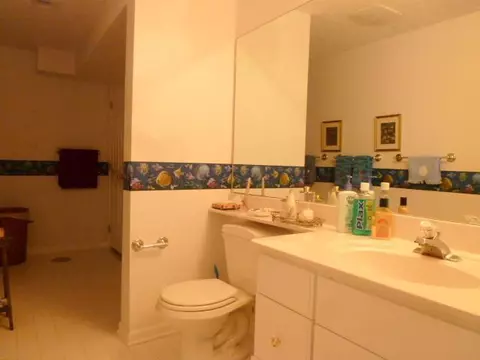 1213 Calumet Cir, Dewitt, MI 48820 photo 19