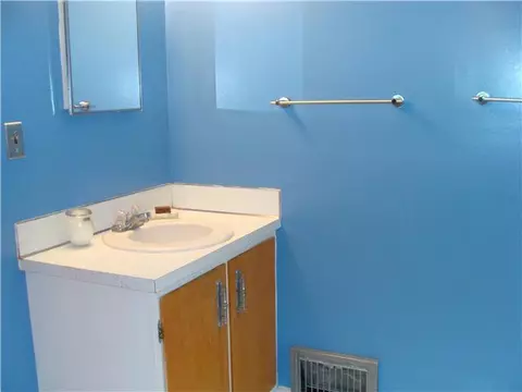 205 White St, Williamston, MI 48895 photo 21