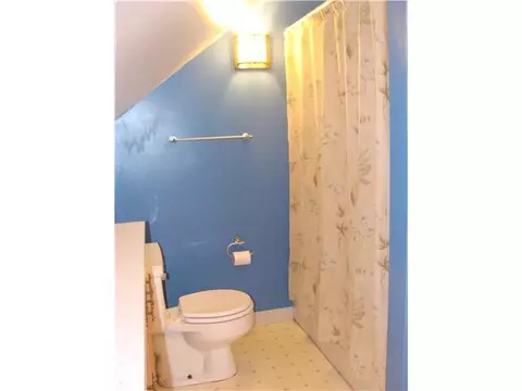 205 White St, Williamston, MI 48895 photo 20