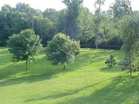 8666 Springbrook Dr, Eaton Rapids, MI 48827 photo 3