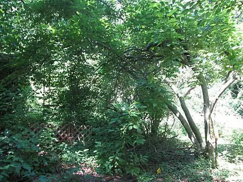 11647 S Us 27, Dewitt, MI 48820 photo 24