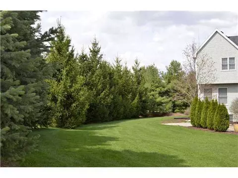2199 Longwoods, Dewitt, MI 48820 photo 22