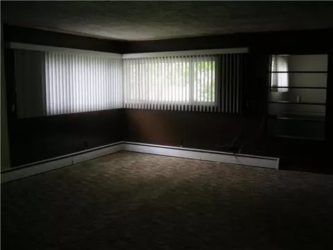 312 E Adelaide, Maple Rapids, MI 48853 photo 6