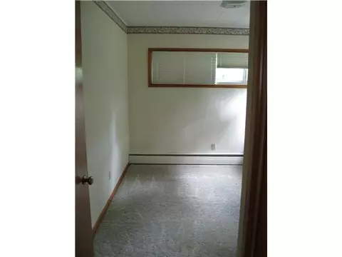 312 E Adelaide, Maple Rapids, MI 48853 photo 8