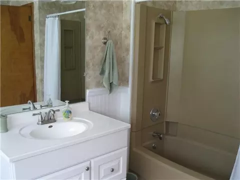 312 E Adelaide, Maple Rapids, MI 48853 photo 9