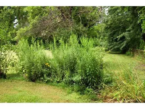 4924 Ballard Rd, Lansing, MI 48911 photo 16