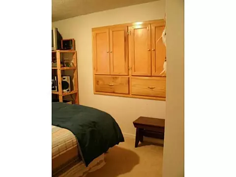 5631 Cade St, Haslett, MI 48840 photo 10