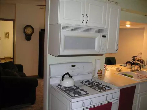 102 E Park St, Saint Johns, MI 48879 photo 13