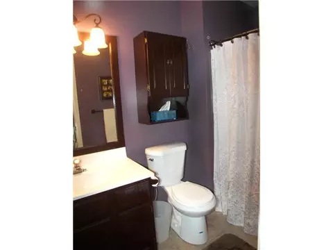 6233 Lake, Haslett, MI 48840 photo 18