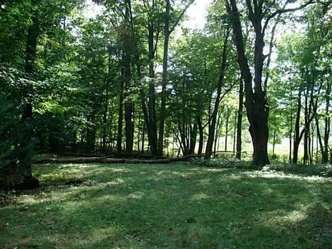 13420 S Wright, Eagle, MI 48822 photo 20