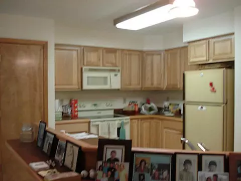 13420 S Wright, Eagle, MI 48822 photo 6