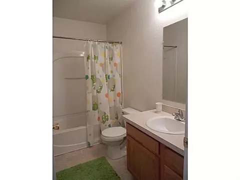 7623 Taragreen Dr, Lansing, MI 48917 photo 12