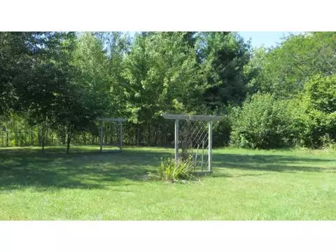 5554 Shoeman Rd, Haslett, MI 48840 photo 5