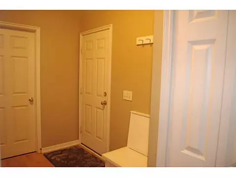 3381 Canopy Dr, Dewitt, MI 48820 photo 12