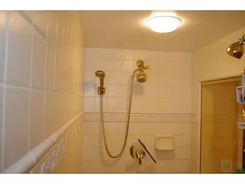 3381 Canopy Dr, Dewitt, MI 48820 photo 15