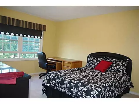 3381 Canopy Dr, Dewitt, MI 48820 photo 19