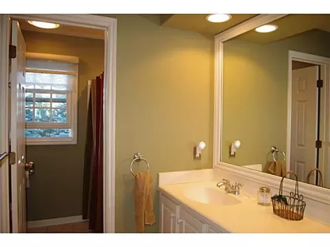 3381 Canopy Dr, Dewitt, MI 48820 photo 20
