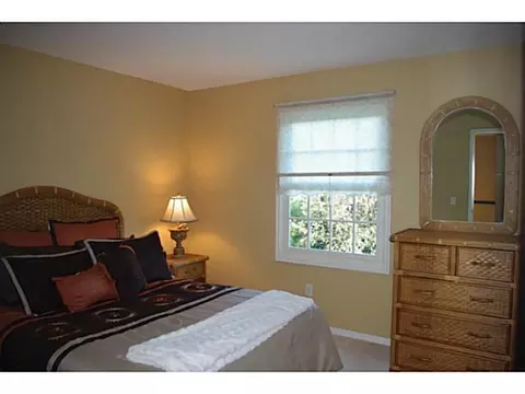 3381 Canopy Dr, Dewitt, MI 48820 photo 16