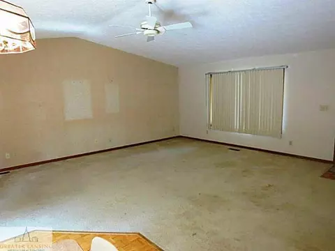333 Maple, Dimondale, MI 48821 photo 2