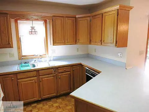 333 Maple, Dimondale, MI 48821 photo 12