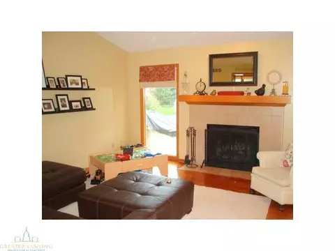 12436 Burlingame Dr, Dewitt, MI 48820 photo 6