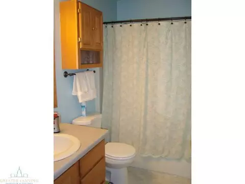 12436 Burlingame Dr, Dewitt, MI 48820 photo 17