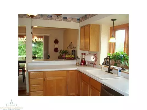 12436 Burlingame Dr, Dewitt, MI 48820 photo 8