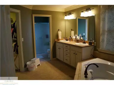 1480 Wellman Rd, Dewitt, MI 48820 photo 9