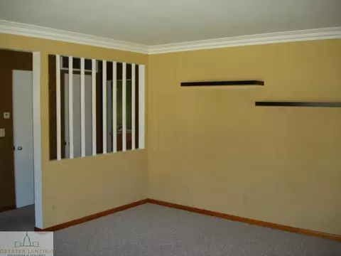 11133 W Second, Fowler, MI 48835 photo 7