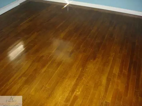 11133 W Second, Fowler, MI 48835 photo 10