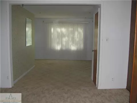 14233 Michigan St, Eagle, MI 48822 photo 12