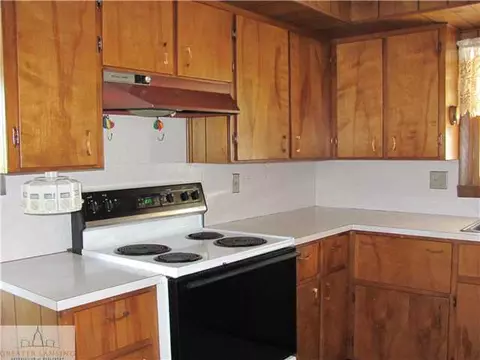 14233 Michigan St, Eagle, MI 48822 photo 9