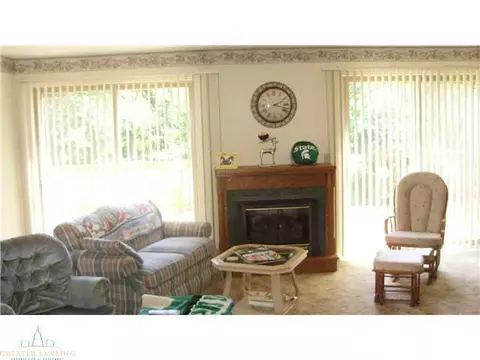 3641 W Howe Rd, Dewitt, MI 48820 photo 8