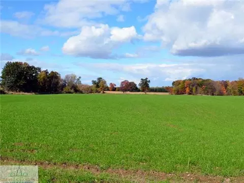 8125 E Cutler, Bath, MI 48808 photo 6