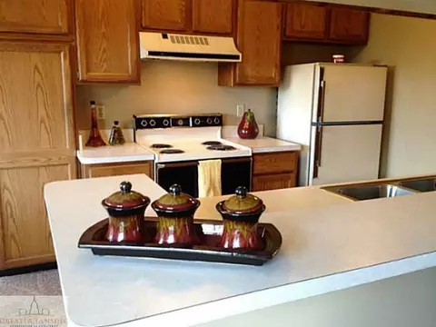 519 Red Cedar Blvd, Williamston, MI 48895 photo 5