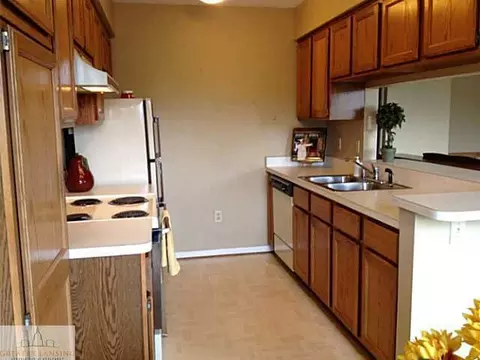 519 Red Cedar Blvd, Williamston, MI 48895 photo 4