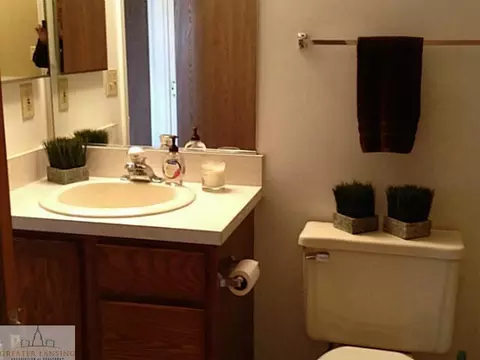 519 Red Cedar Blvd, Williamston, MI 48895 photo 10