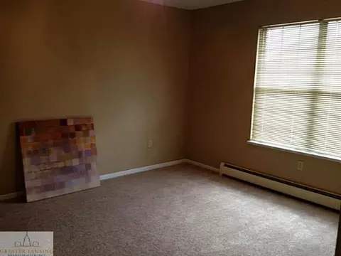519 Red Cedar Blvd, Williamston, MI 48895 photo 11
