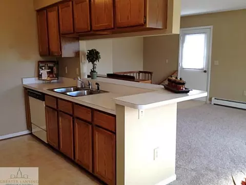 519 Red Cedar Blvd, Williamston, MI 48895 photo 7